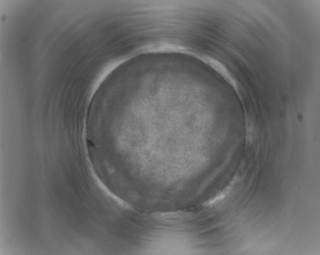 X0000070420863200606231851