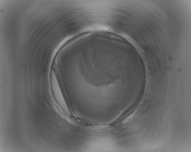 X0000070420864200606231851