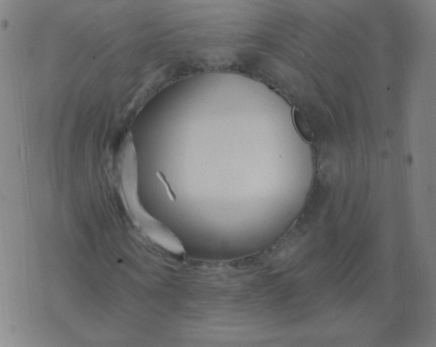 X0000070420866200606231850