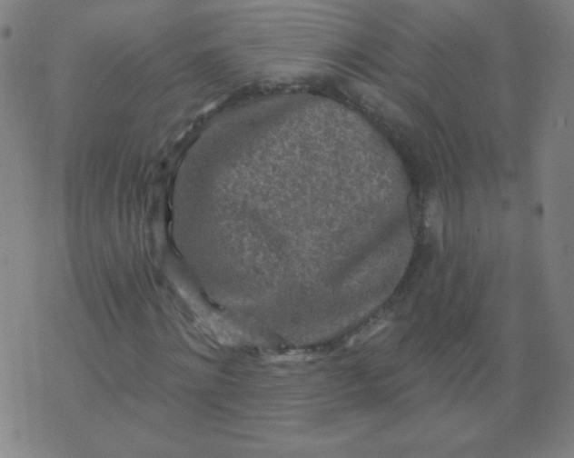 X0000070420868200606231850