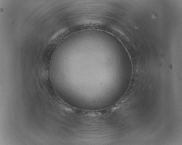 X0000070420869200606231850