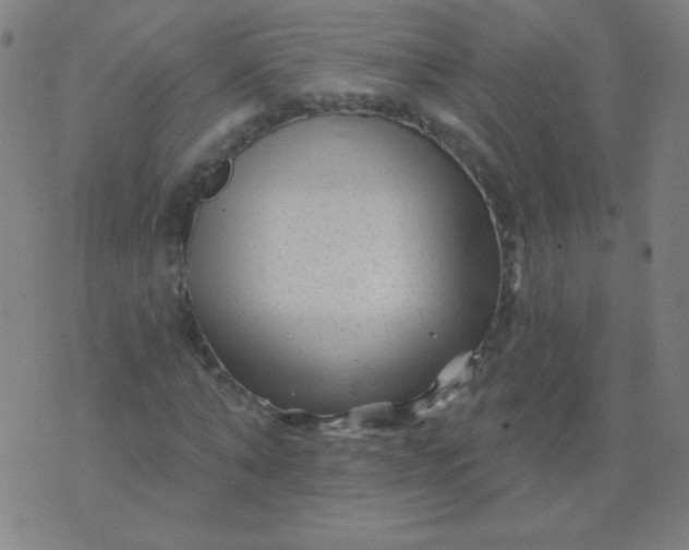 X0000070420870200606231850