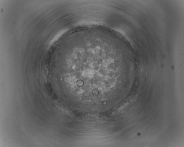 X0000070420871200606231850