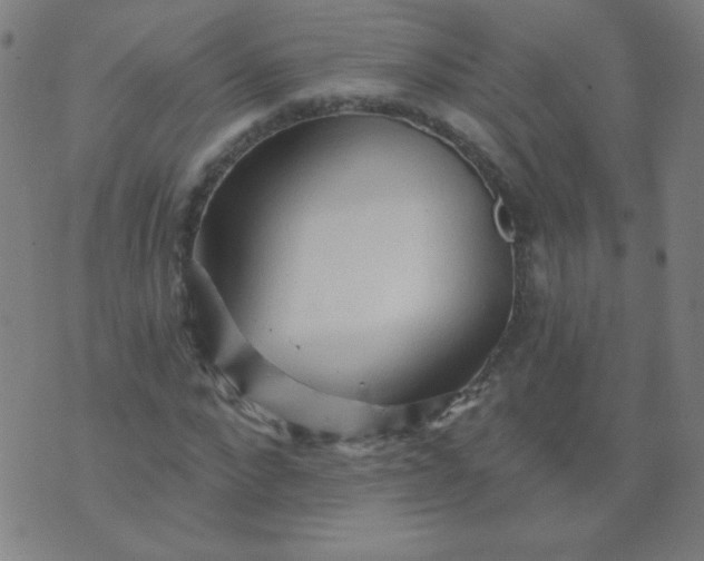 X0000070420872200606231850