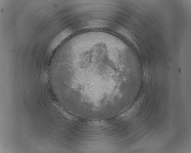 X0000070420874200606231850