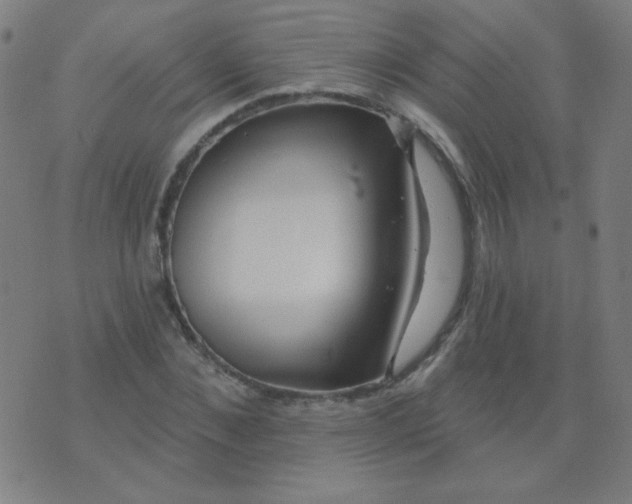 X0000070420876200606231850