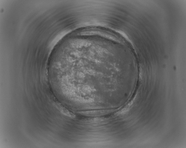 X0000070420879200606231850