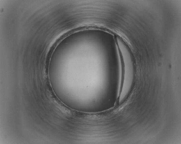 X0000070420880200606231850