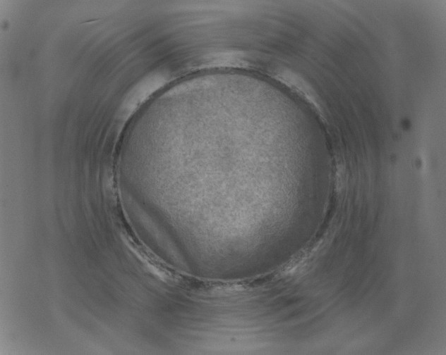 X0000070420882200606231850