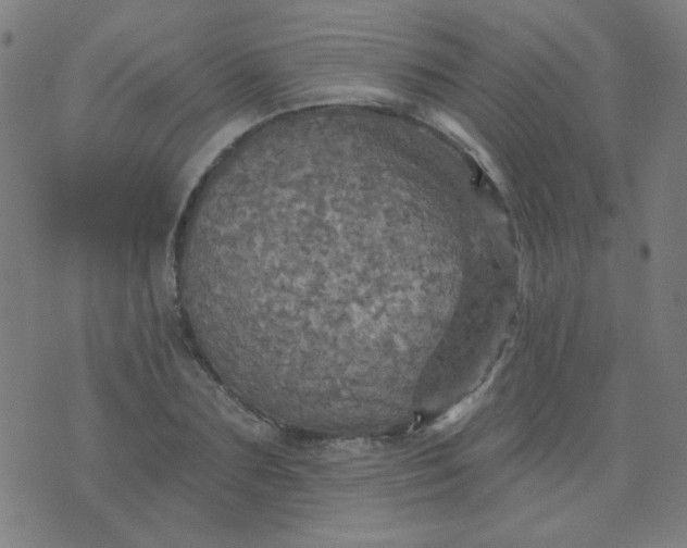 X0000070420883200606231850