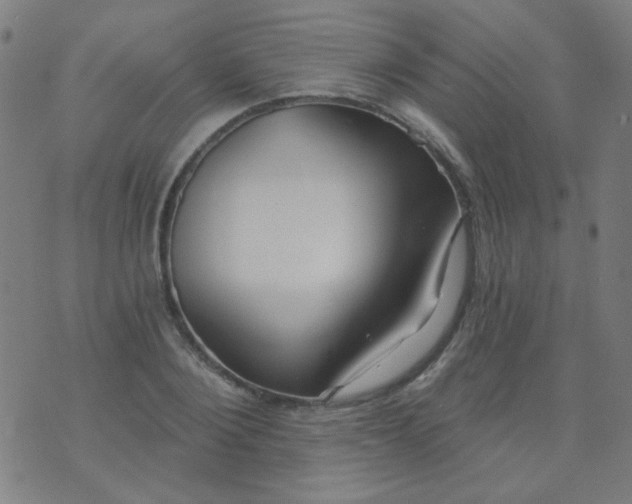 X0000070420884200606231850