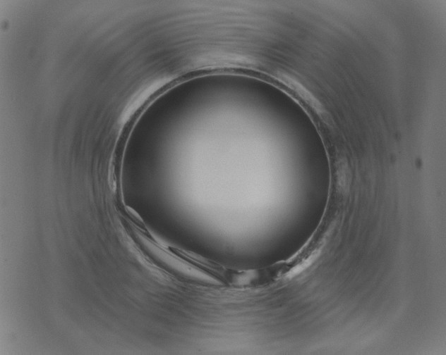 X0000070420885200606231850