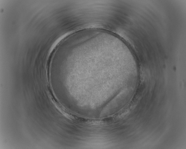 X0000070420886200606231850