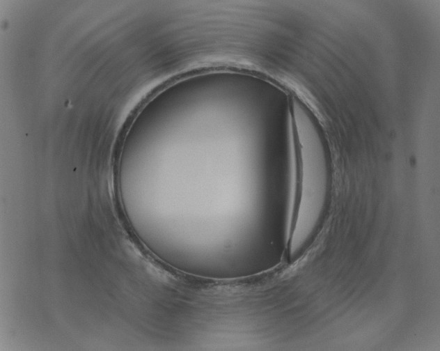 X0000070420888200606231850