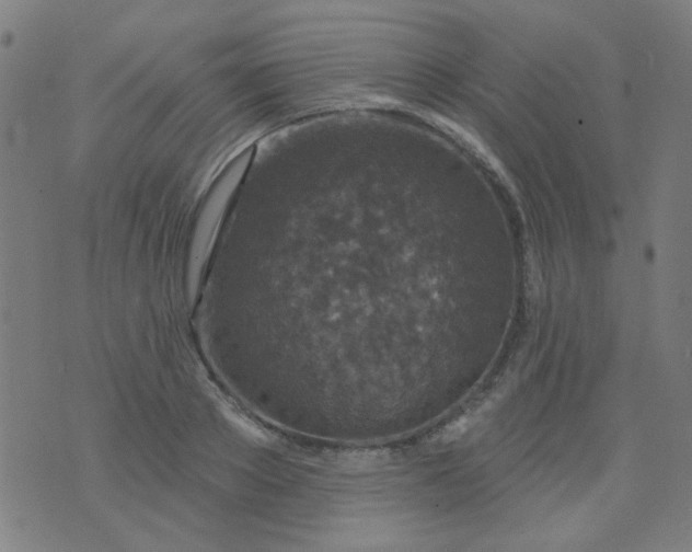 X0000070420889200606231850