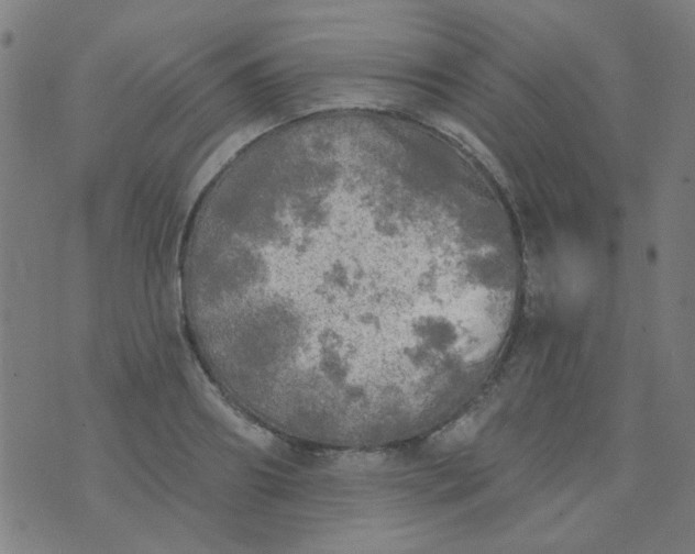 X0000070420890200606231850