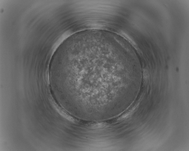 X0000070420891200606231850