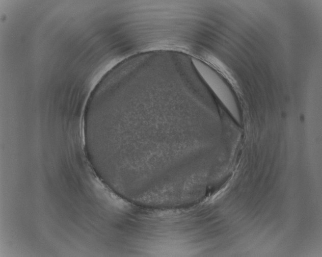 X0000070420892200606231850