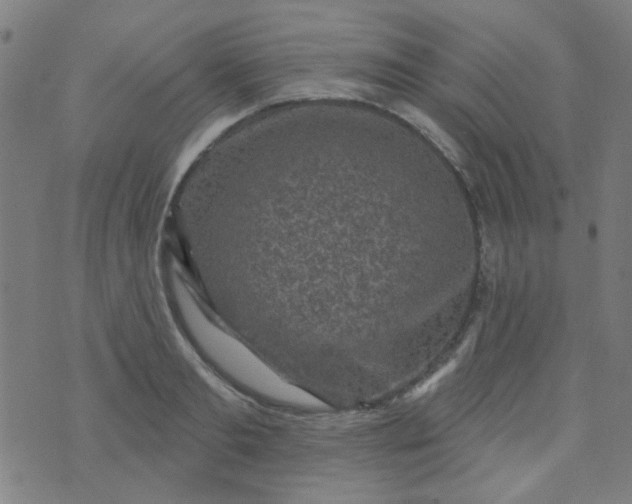 X0000070420893200606231850