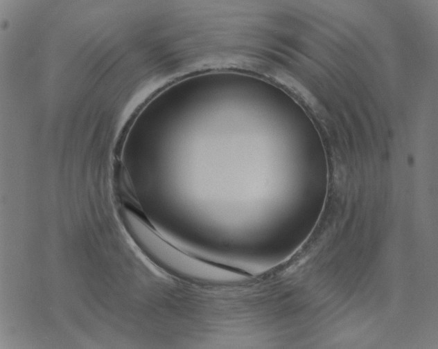 X0000070420894200606231850