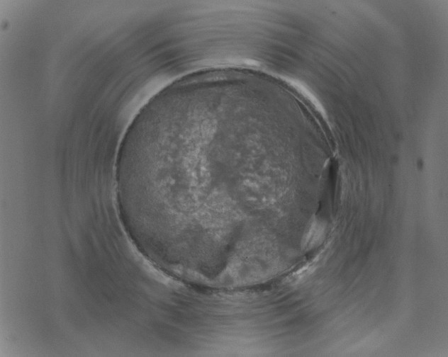 X0000070420895200606231850