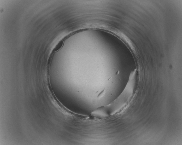 X0000070420896200606231850