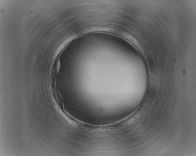 X0000070420898200606231850