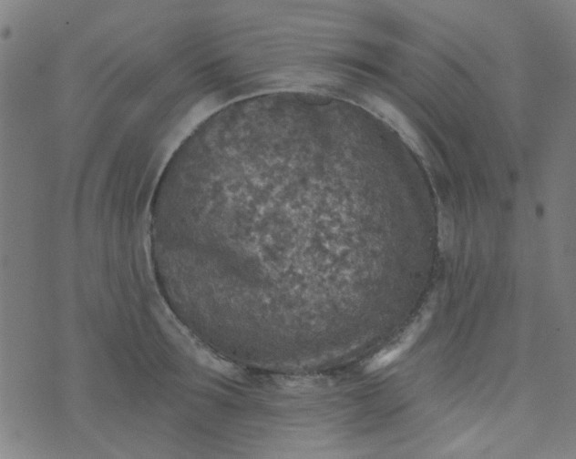 X0000070420899200606231850