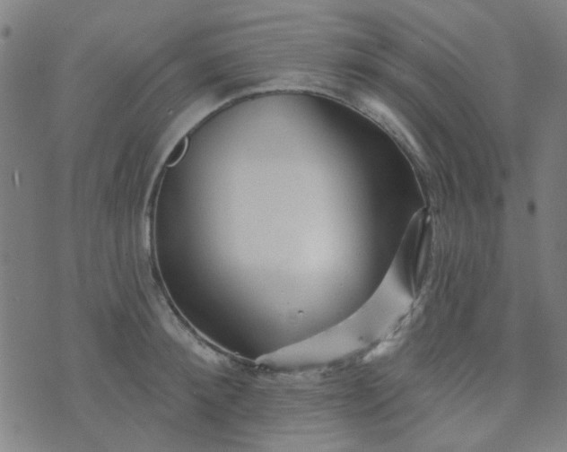 X0000070420900200606231850