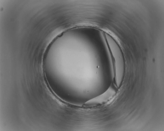 X0000070420902200606231850