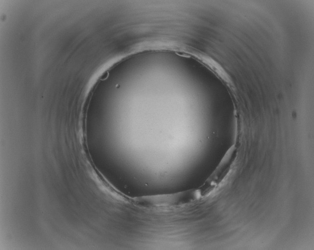 X0000070420904200606231850