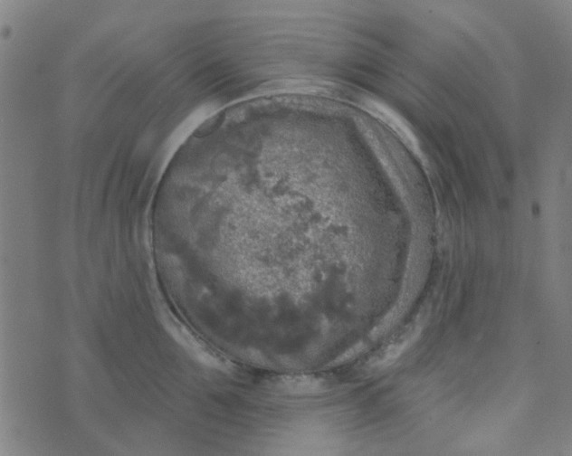 X0000070420907200606231850