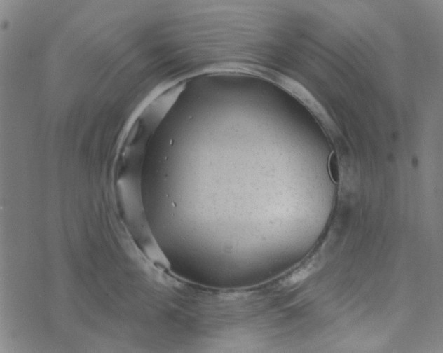 X0000070420908200606231850