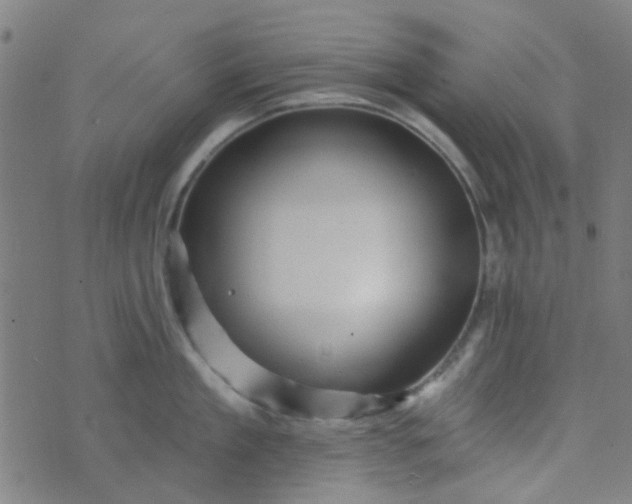 X0000070420909200606231850