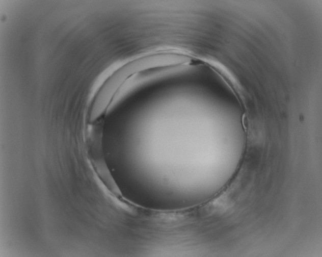 X0000070420910200606231850