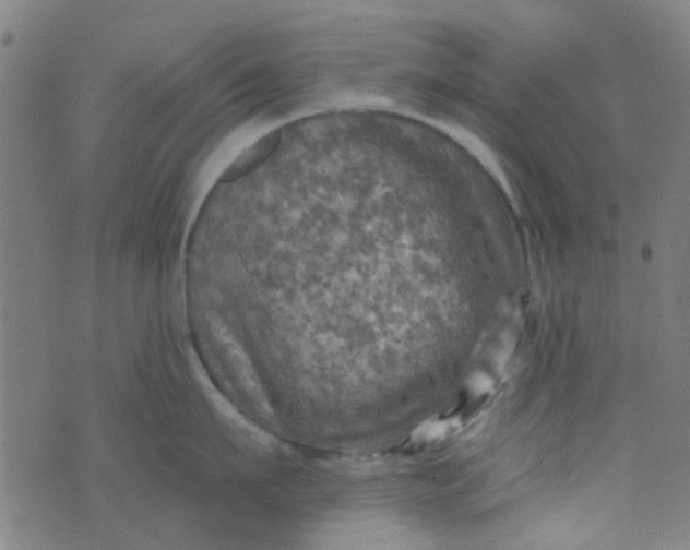 X0000070420911200606231850