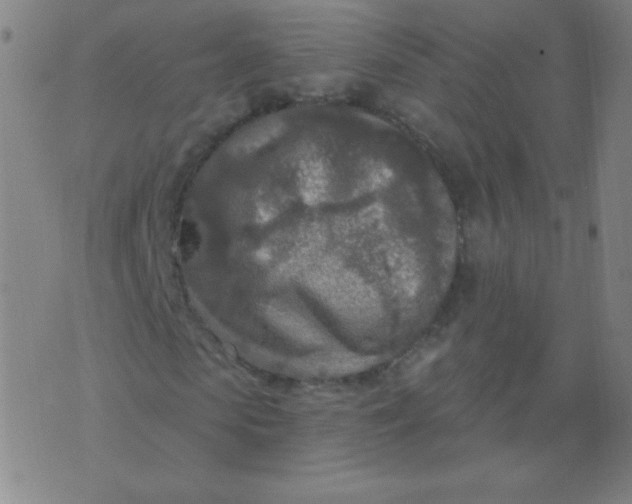 X0000070420913200606231849