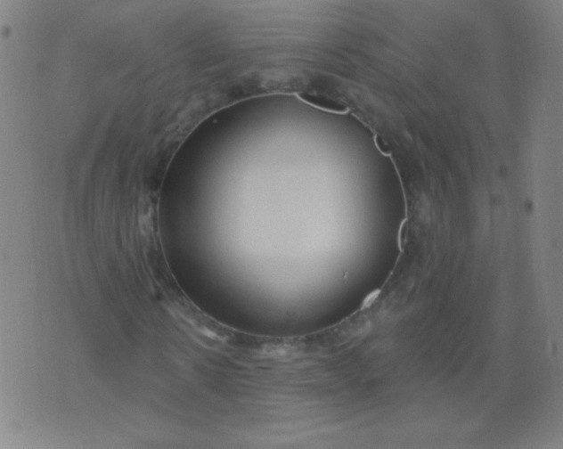 X0000070420914200606231849