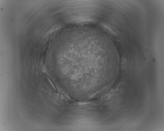 X0000070420917200606231849