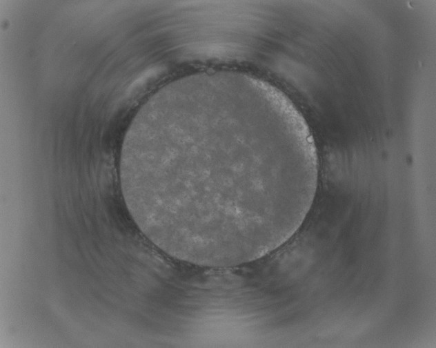 X0000070420918200606231849