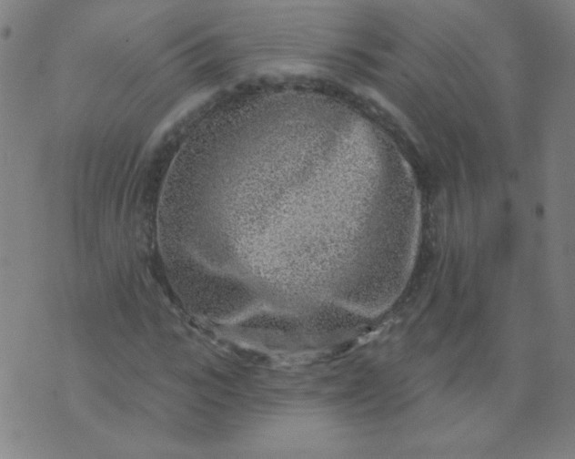 X0000070420919200606231849