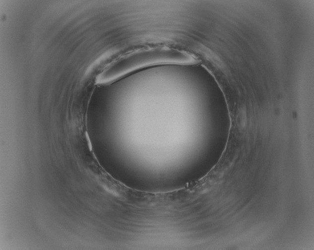 X0000070420920200606231849