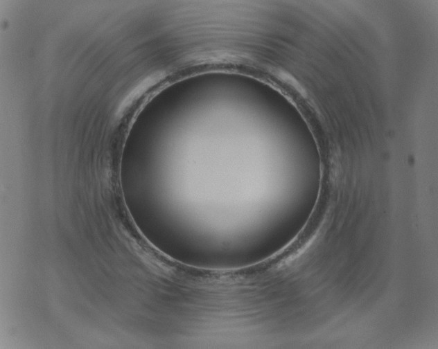 X0000070420922200606231849