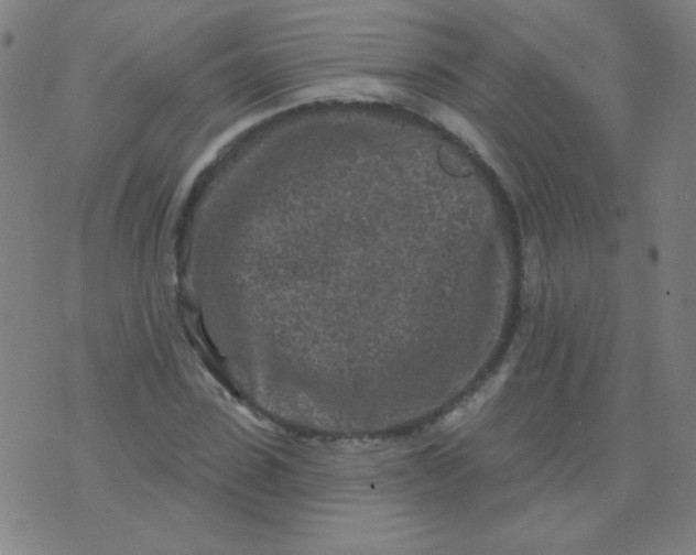 X0000070420923200606231849