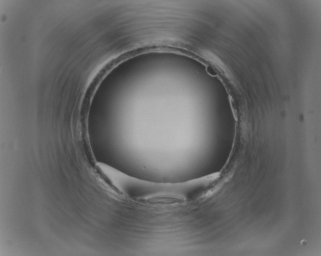 X0000070420924200606231849