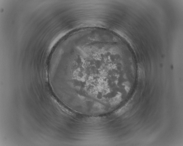 X0000070420925200606231849