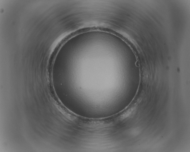 X0000070420927200606231849