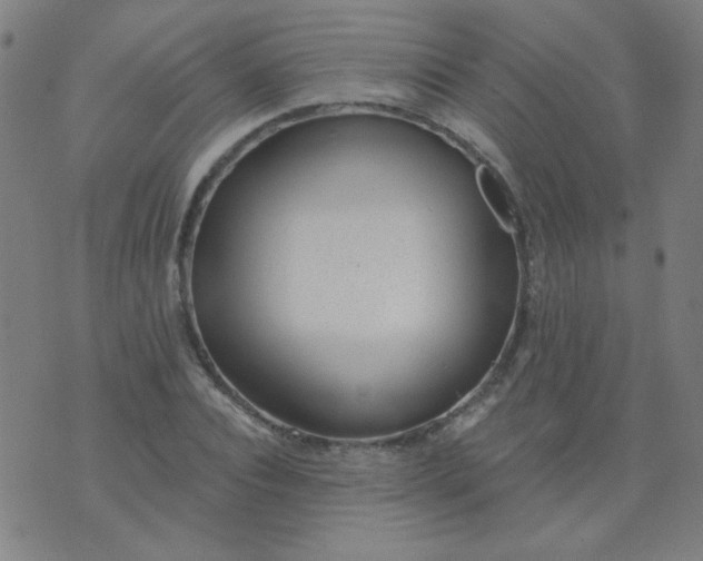 X0000070420928200606231849