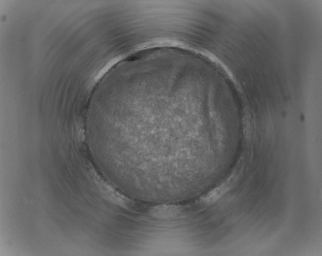 X0000070420929200606231849