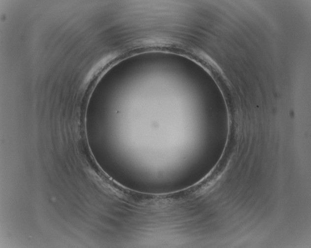 X0000070420930200606231849